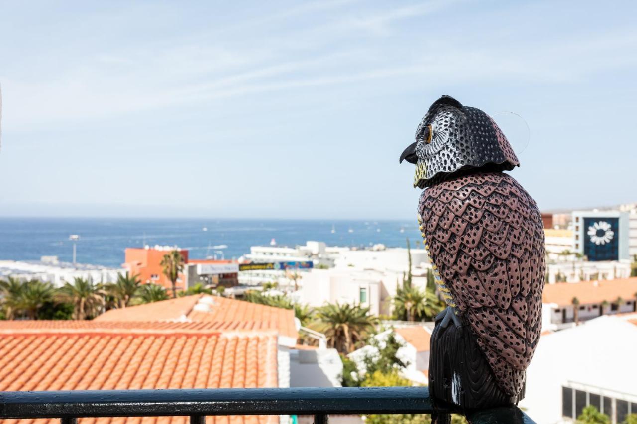 Home2Book Stunning Sea Views Adeje, Wifi & Pool Playa Feñabe 外观 照片